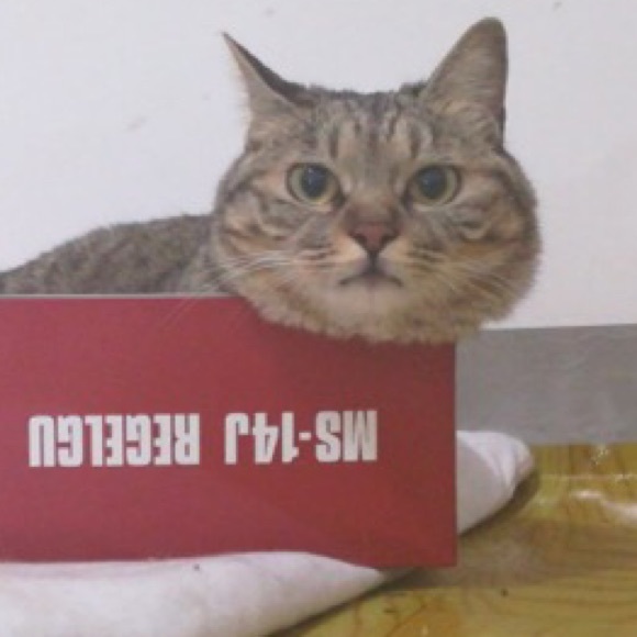 Meet your Posher, Mie - Picture 3 of 3